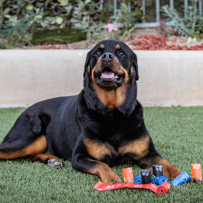 Best Pet Supplies Dog Poop Bags (150 Bags)