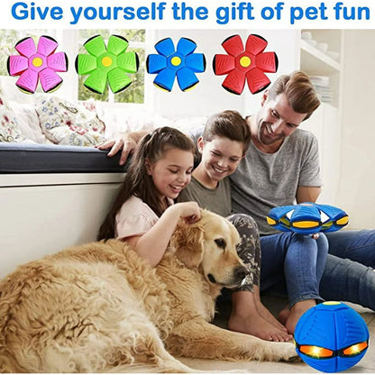 Pop Up Flying Saucer Ball Toy for Kids & Dogs