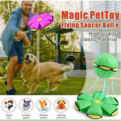 Pop Up Flying Saucer Ball Toy for Kids & Dogs